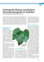 Vorbeugende Wirkung verschiedener Peronosporafungizide auf Topfreben