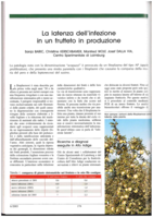 La latenza dell'infezione in un frutteto in produzione
