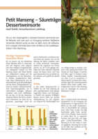 Petit Manseng - Säureträger und Dessertweinsorte
