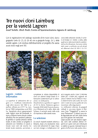 Tre nuovi cloni Laimburg per la varietà Lagrein