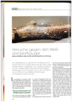 Versuche gegen den Weißdornblattsauger