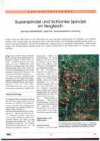 Superspindel und Schlanke Spindel im Vergleich