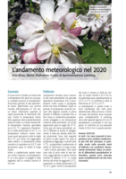 L’andamento meteorologico nel 2020