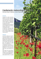 L'andamento meteorologico nel 2019