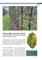 Glomerella Leaf Spot (GLS)