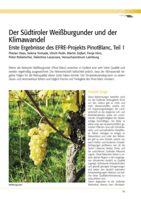 Der Südtiroler Weißburgunder und der Klimawandel. Erste Ergebnisse des EFRE-Projekts PinotBlanc, Teil 2