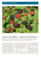 Rubus & Ribes: Neues bei Beeren