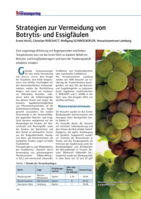 Strategien zur Vermeidung von Botrytis- und Essigfäulen