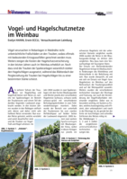 Vogel- und Hagelschutznetze im Weinbau