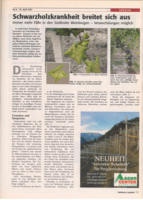 Schwarzholzkrankheit breitet sich aus