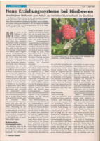 Neue Erziehungsformen bei Himbeeren