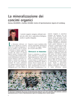 La mineralizzazione dei concimi organici