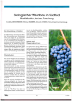 Biologischer Weinbau in Südtirol - Marktsituation, Anbau, Forschung