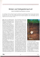 Böden auf Kalkgesteinschutt