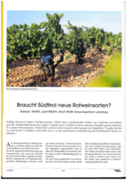 Braucht Südtirol neue Rotweinsorten