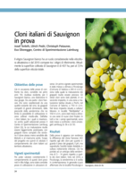 Cloni italiani di Sauvignon in prova
