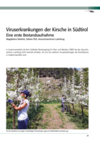 Viruserkrankungen der Kirsche in Südtirol: Eine erste Bestandsaufnahme