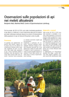 Osservazioni sulle popolazioni di api nei meleti altoatesini