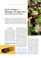 Studi ecologici e fisiologici sul legno nero