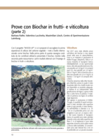 Prove con Biochar in frutti_ e viticoltura (parte 2)