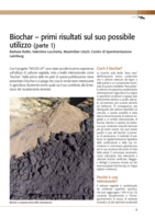 Biochar - primi risultati sul suo possibile utilizzo (parte 1)