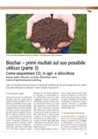 Biochar - primi risultati sul suo possibile utilizzo (parte 3)