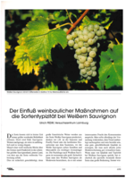 Der Einfluss weinbaulicher Maßnahmen auf die Sortentypizität bei Weißem Sauvignon