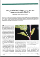 Diagnostische Untersuchungen am Baummaterial in Südtirol