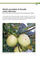 Attivitá secondaria di Sercadis contro Alternaria
