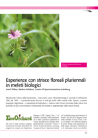 Esperienze con strisce floreali pluriennali in meleti biologici