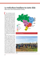 La melicoltura brasiliana tra tante sfide