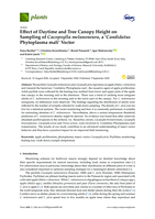 Effect of Daytime and Tree Canopy Height on Sampling of Cacopsylla melanoneura, a ‘Candidatus Phytoplasma mali’ Vector