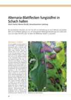 Alternaria-Blattflecken fungizidfrei in Schach halten