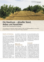 Die Haselnuss- aktueller Stand, Anbau und Aussichten