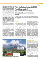 Il Pinot bianco ed il cambiamento climatico; Primi risultati del progetto FESR PinotBlanc, parte 2