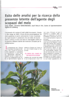 Esito delle analisi per la ricerca della presenza latente dell'agente degli scopazzi del melo