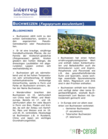 Merkblatt zum Anbau von Buchweizen