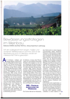 Bewässerungsstrategien im Weinbau