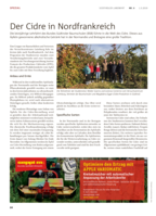 Der Cidre in Nordfrankreich