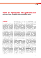 Wenn die Apfelschale im Lager verbräunt