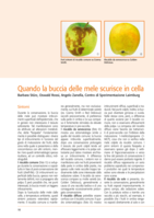 Quando la buccia delle mele scurisce in cella