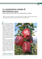 La concimazione azotata di Red Delicious spur