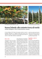 Nuova Zelanda: alla costante ricerca di novità