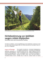 Dichtebestimmung von Apfelblattsaugern mittels Klopfproben
