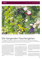 Die hängenden Flaschengärten