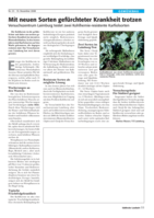 Mit neuen Sorten gefürchteter Krankheiten trotzen. Versuchszentrum Laimburg testet zwei Kohlhernie-resisteente Karfiolsorten