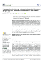 Understanding the interplay between antimicrobial resistance, microplastics and xenobiotic contaminants: A leap towards One Health?