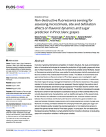 Non-destructive fluorescence sensing for assessing microclimate, site and defoliation effects on flavonol dynamics and sugar prediction in Pinot blanc grapes