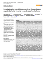 Investigating the microbial community of Cacopsylla spp. as potential factor in vector competence of phytoplasma