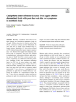 Cadophora luteo-olivacea isolated from apple (Malus domestica) fruit with post-harvest side rot symptoms in northern Italy